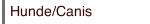 Hunde/Canis
